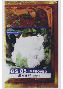  GS 85 Improved